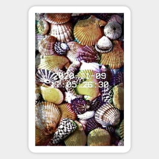 Glitch art Seashells Sticker